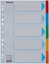 Esselte Karton-Register, blanko, A4, 6-teilig, mehrfarbig