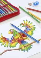 FABER-CASTELL Dreikant-Buntstifte, 12er Etui