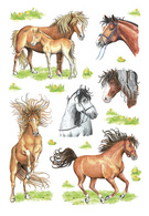HERMA Sticker DECOR Gezeichnete Pferde