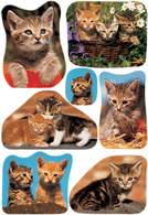 HERMA Sticker DECOR lustige Katzen, beglimmert