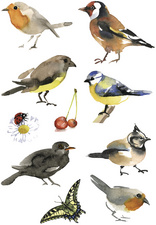 HERMA Sticker DECOR Aquarell Vögel