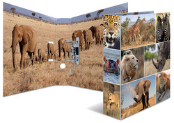 HERMA Motivordner Animals, DIN A4, Pferde