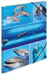 HERMA Eckspannermappe Delfine, aus Karton, DIN A4