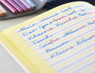 FABER-CASTELL Silbentrennstift Jumbo GRIP bicolor