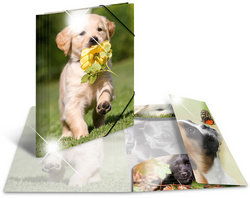 HERMA Eckspannermappe Giraffe, PP Glossy, DIN A4