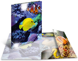 HERMA Eckspannermappe Pinguine, PP Glossy, DIN A3