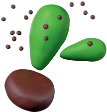 FIMO kids Modellier-Set Funny Cactus