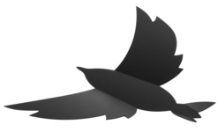 Securit 3D-Wand-Kreidetafel BIRD, schwarz