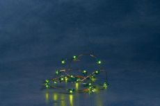 Konstsmide 1268-900 LED Dekolichterkette, Bäume, Blinklicht, 20 grüne Dioden, batteriebetrieben, Innen, 2 x AA 1.5V (exkl.)