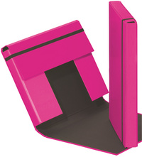 PAGNA Heftbox Trend Colours, DIN A4, dunkelrosa