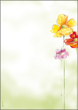 sigel Design-Papier, DIN A4, 90 g/qm, Motiv Flowerstyle