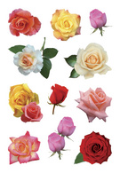 HERMA Sticker DECOR 'Rosen'