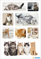 HERMA Sticker DECOR 'Katzenfotos'