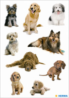 HERMA Sticker DECOR 'Hundewelpen'