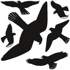 HERMA Etiketten 'Warnvögel', Folie, wetterfest, schwarz