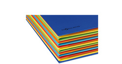 PAGNA Ordnungsmappe DESKORGANIZER Color, 12 Fächer, schwarz