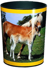 Läufer Papierkorb Pferd und Fohlen