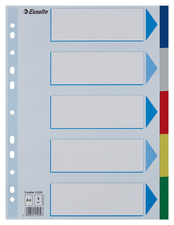 Esselte Kunststoff-Register, blanko, A4, PP, 10-teilig