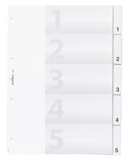 DURABLE Kunststoff-Register, A4, 10-teilig, transparent