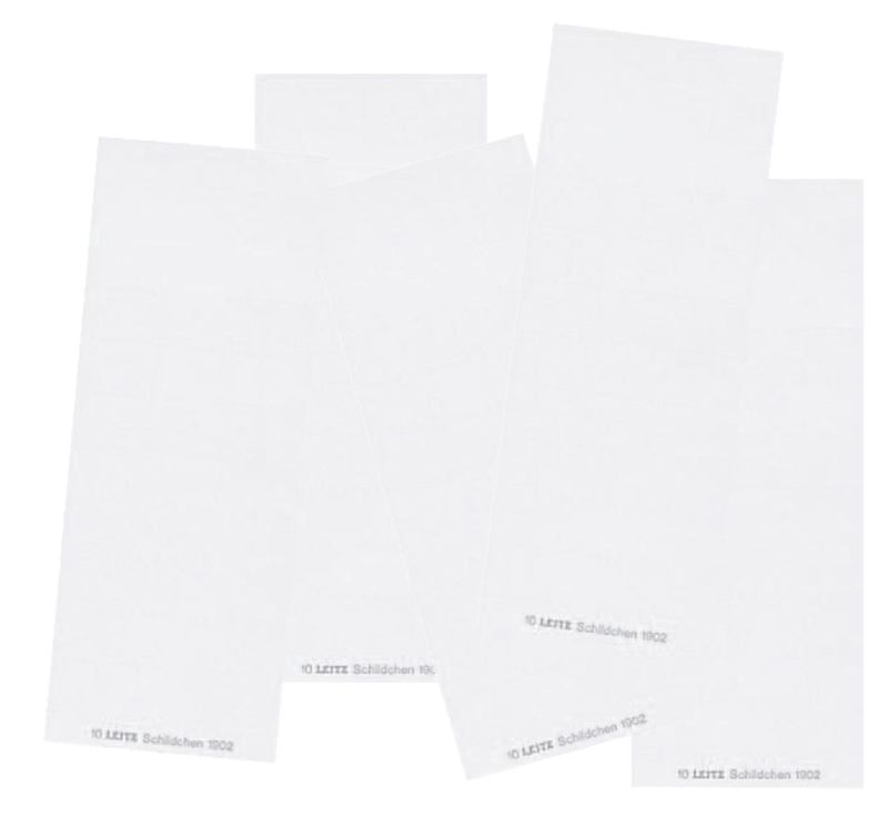 Leitz 1902 Blanko-Schildchen, für ALPHA®, Karton, 100 Stück, weiß