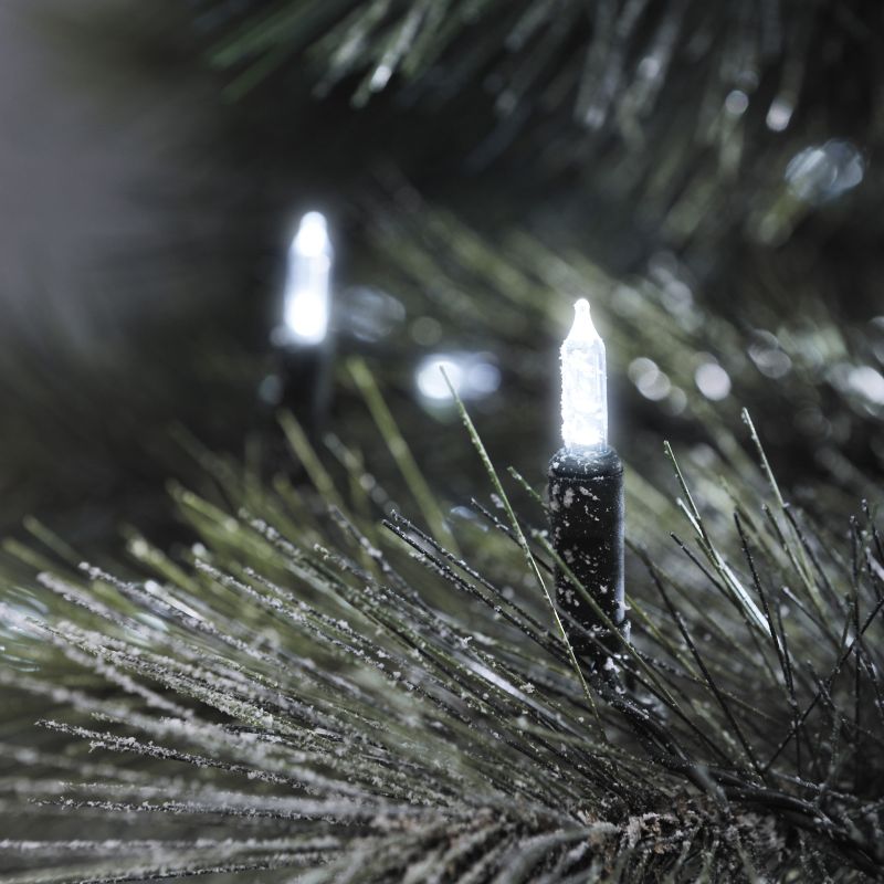 Konstsmide 6060-200 - LED Minilichterkette, 120 kaltweiße Dioden, 24V Außentrafo, grünes Kabel