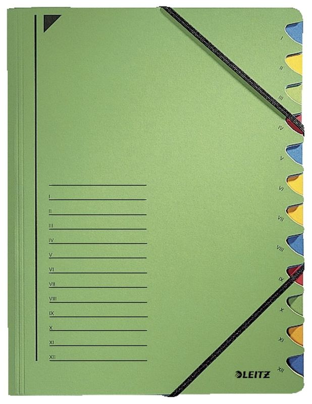 Leitz 3912 Ordnungsmappe - 12 Fächer, A4, Pendarec-Karton (RC), 430 g/qm, grün