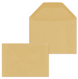 MAILmedia Wertbriefhülle, DIN B6, 125 x 176 mm, braun