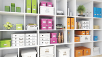 LEITZ Ablagebox Click & Store WOW Cube M, grün