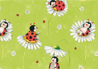 SUSY CARD Geschenkpapier Captain Hook, auf Rolle