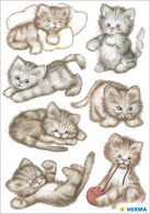 HERMA Sticker DECOR Katzenfotos