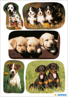 HERMA Sticker DECOR Hundewelpen