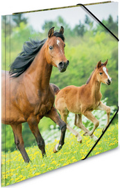 HERMA Eckspannermappe Hunde, aus PP, DIN A3