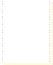 EXACOMPTA Computerpapier endlos, 240 mm x 12 (30,48 cm)