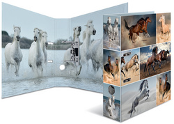 HERMA Motivordner Animals, DIN A4, Pferde