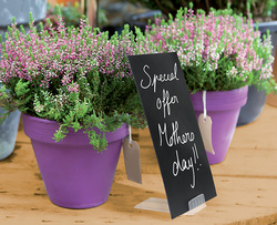 Securit Halterung CLAMP für Kreidetafelschilder, Acryl