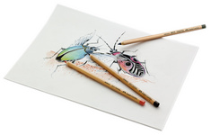 FABER-CASTELL Buntstift PITT PASTELL, fleischfarbe hell