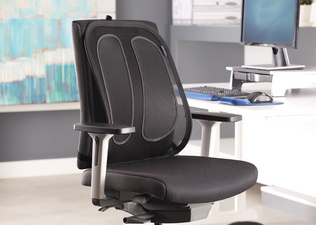 Fellowes Netz-Rückenstütze Office Suites, schwarz