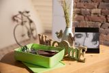 HAN SMART-ORGANIZER ALLISON – praktische Utensilienbox mit Innenschale und Deckel, cherry red, 1110-17