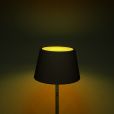 LED Akku Stehleuchte Pomezia RGBW in Schwarz 5W 600lm IP54