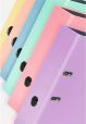 Original Falken 10er Pack PastellColor-Ordner. Made in Germany. 8 cm breit DIN A4 Pastell-Farbe farbig sortiert Ringordner Aktenordner Briefordner Büroordner Plastikordner Motivordner