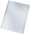 Leitz 4326 Zahlenregister - 1-20, A4, Karton, 20 Blatt, grau
