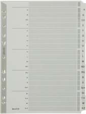 LEITZ Mylarkarton-Register, A-Z, A4, 20-teilig, grau