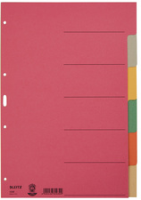 LEITZ Karton-Register extrastark, blanko, A4, 6-teilig