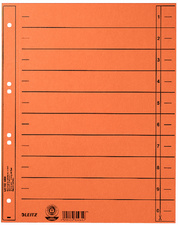 LEITZ Trennblätter, A4 Überbreite, Manilakarton 230g/qm