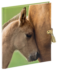 PAGNA Tagebuch Chucks, 80 g/qm, 64 Blatt