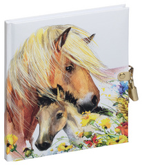 PAGNA Tagebuch Chucks, 80 g/qm, 64 Blatt