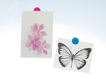 tesa TACK Klebepads, pink transparent, beidseitig klebend