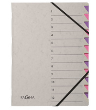 PAGNA Ordnungsmappe Easy Grey, A4, 12 Fächer, grau / blau