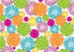 SUSY CARD Geschenkpapier Flower and Birds, auf Rolle